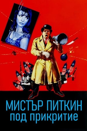Мистър Питкин под прикритие