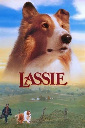 Ласи