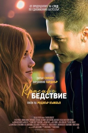 Красиво бедствие