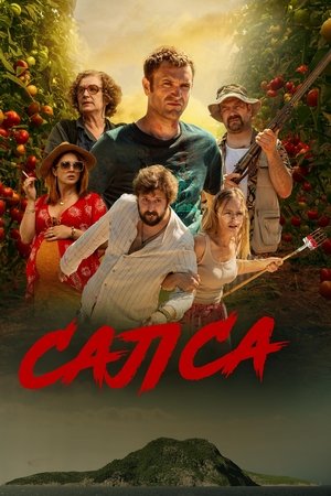 Салса