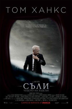 Съли: Чудото на Хъдсън