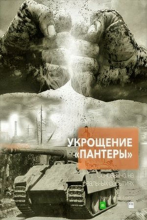 Укротяване на Пантерата