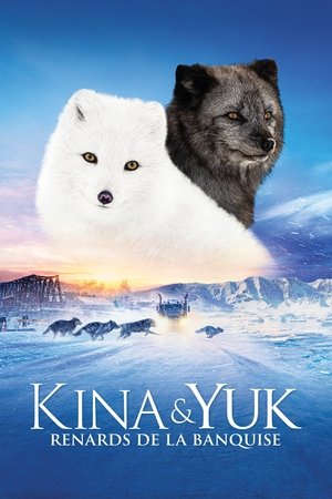 Приключенията на Кина и Юк