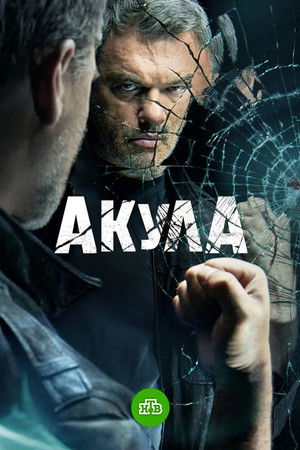 Акула
