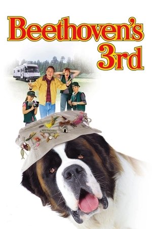 Бетовен 3